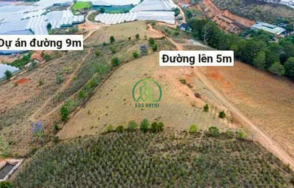 🏡 CẦN BÁN ĐẤT ĐẸP TRUNG TÂM LẠC DƯƠNG -P. LANGBIANG - ĐÀ LẠT