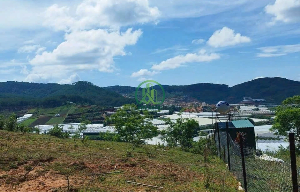 🏡 CẦN BÁN ĐẤT ĐẸP TRUNG TÂM LẠC DƯƠNG -P. LANGBIANG - ĐÀ LẠT