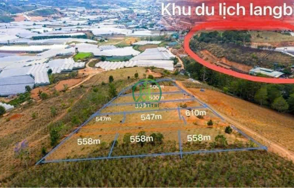 🏡 CẦN BÁN ĐẤT ĐẸP TRUNG TÂM LẠC DƯƠNG -P. LANGBIANG - ĐÀ LẠT