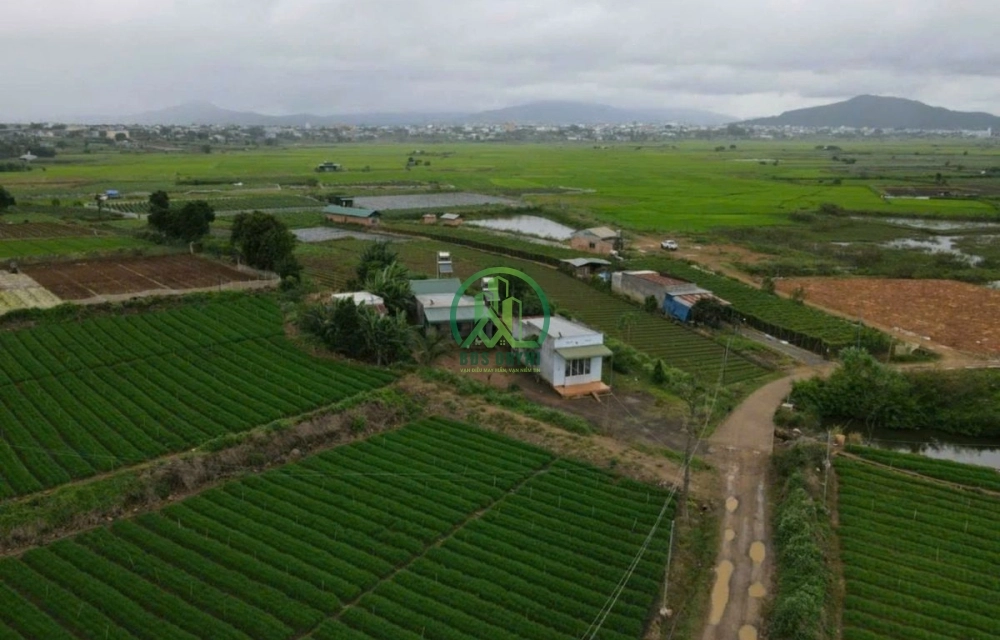 🏡 CẦN BÁN 6.100 M2 ĐẤT QUY HOẠCH FULL THỔ CƯ TẠI LIÊN NGHĨA, ĐỨC TRỌNG 