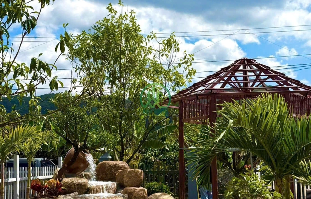 🏡 CẦN BÁN NHÀ SÂN VƯỜN THÔN 4 TÀ NUNG - P. CAM LY- ĐÀ LẠT