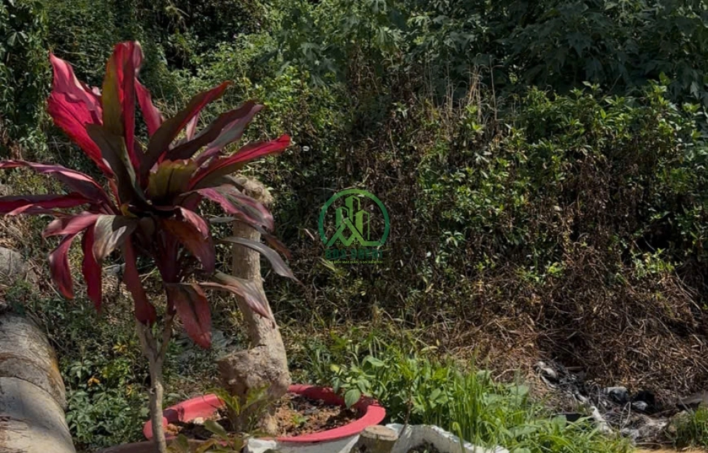 🏡 CẦN BÁN ĐẤT 2 MẶT HẺM 27 LÊ HỒNG PHONG, P. XUÂN HƯƠNG- ĐÀ LẠT