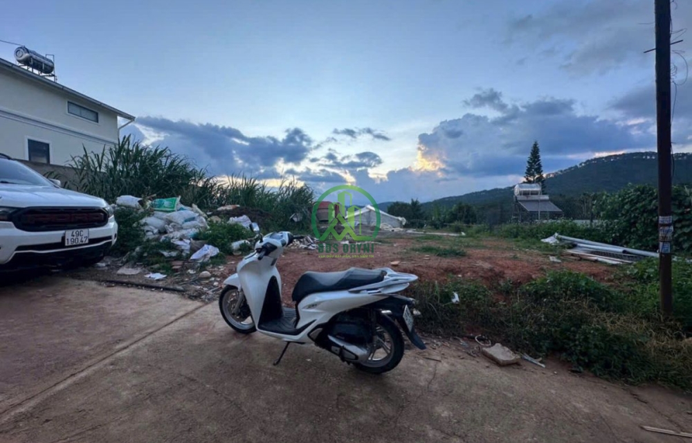 🏡 CẦN BÁN ĐẤT THÁI PHIÊN, P. LÂM VIÊN - ĐÀ LẠT