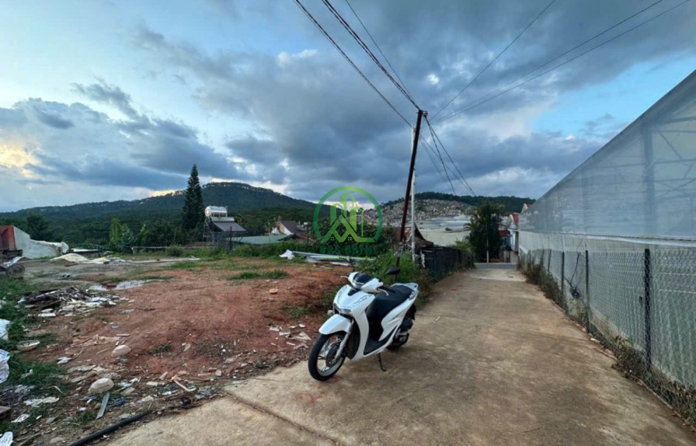 🏡 CẦN BÁN ĐẤT THÁI PHIÊN, P. LÂM VIÊN - ĐÀ LẠT