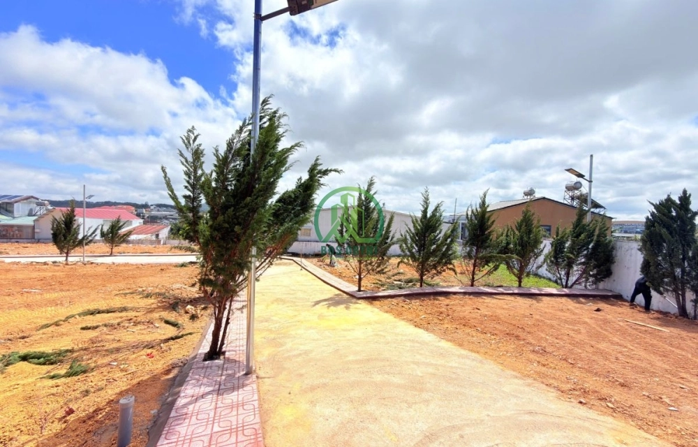 🏡 CẦN BÁN ĐẤT ĐỒI BẠCH ĐẰNG, P. LANGBIANG - ĐÀ LẠT