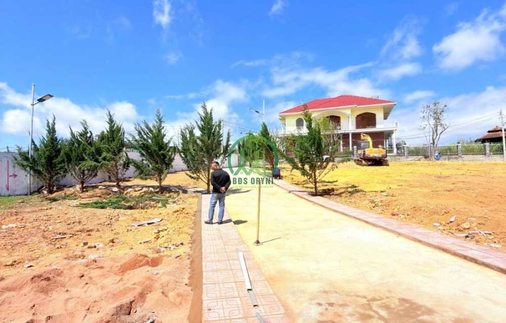 🏡 CẦN BÁN ĐẤT ĐỒI BẠCH ĐẰNG, P. LANGBIANG - ĐÀ LẠT