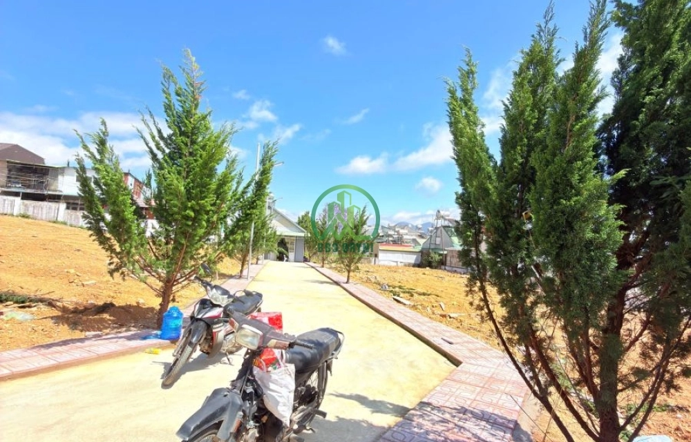 🏡 CẦN BÁN ĐẤT ĐỒI BẠCH ĐẰNG, P. LANGBIANG - ĐÀ LẠT