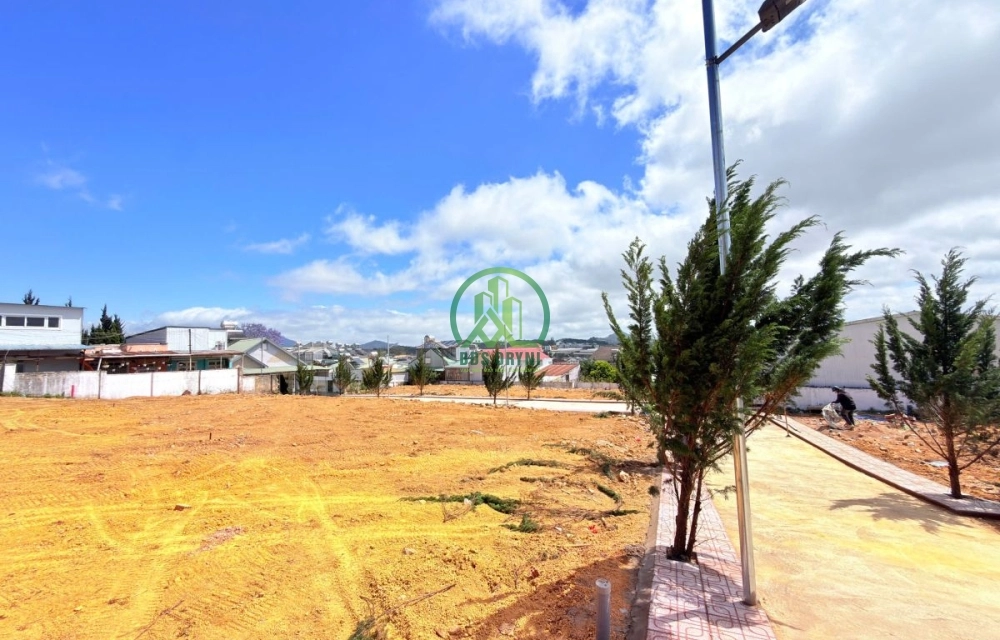 🏡 CẦN BÁN ĐẤT ĐỒI BẠCH ĐẰNG, P. LANGBIANG - ĐÀ LẠT