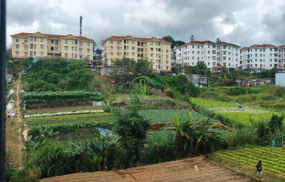 🏡 CẦN BÁN NHÀ ĐƯỜNG KIM ĐỒNG, P. CAM LY - ĐÀ LẠT