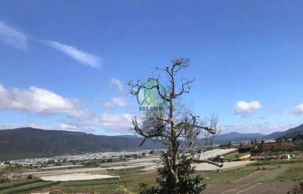 🏡 CẦN BÁN ĐẤT 1.020M2 ĐẤT TRUNG TÂM KA ĐÔ - ĐƠN DƯƠNG