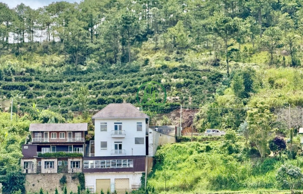 CẦN BÁN 2.748 M2 ĐẤT ĐƯỜNG ĐA PHÚ, PHƯỜNG LANGBIANG- ĐÀ LẠT