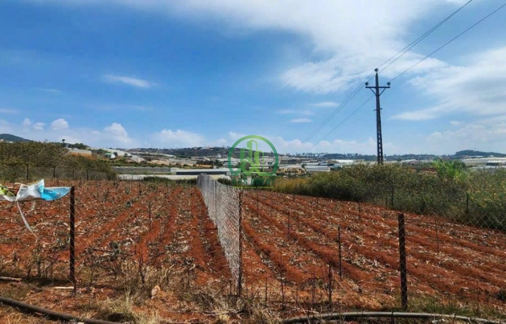 🏡 CẦN BÁN 2 LÔ LIỀN KỀ XUÂN THỌ, P. XUÂN TRƯỜNG - ĐÀ LẠT