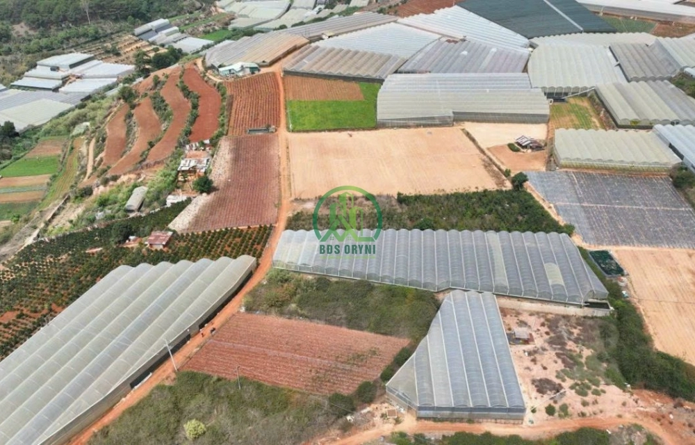 🏡 CẦN BÁN 2 LÔ LIỀN KỀ XUÂN THỌ, P. XUÂN TRƯỜNG - ĐÀ LẠT