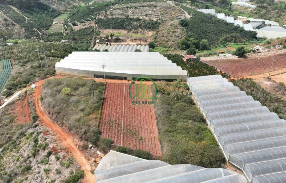 🏡 CẦN BÁN 2 LÔ LIỀN KỀ XUÂN THỌ, P. XUÂN TRƯỜNG - ĐÀ LẠT