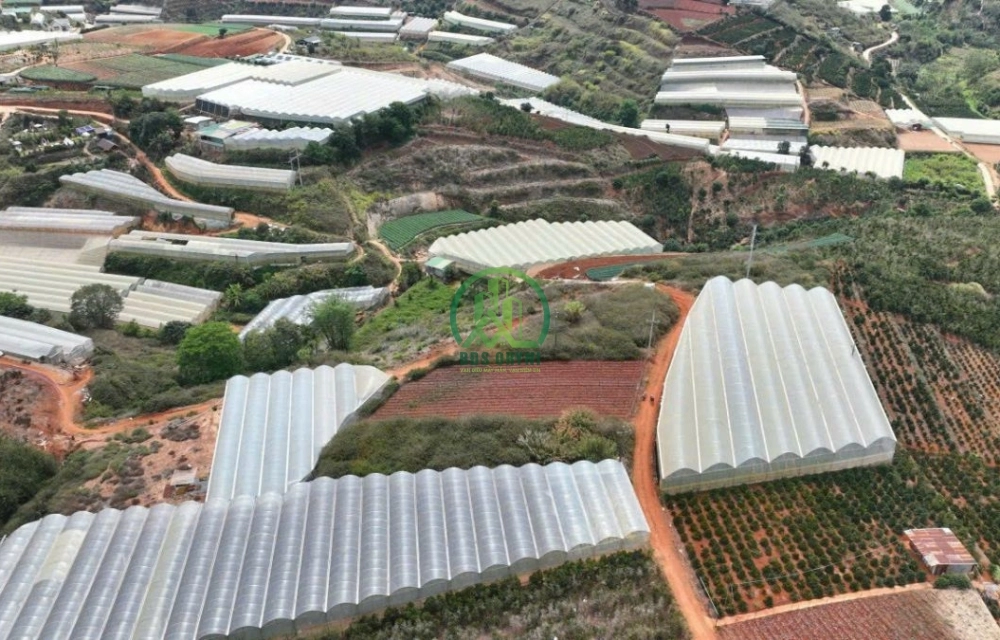 🏡 CẦN BÁN 2 LÔ LIỀN KỀ XUÂN THỌ, P. XUÂN TRƯỜNG - ĐÀ LẠT