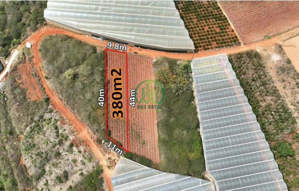 🏡 CẦN BÁN 2 LÔ LIỀN KỀ XUÂN THỌ, P. XUÂN TRƯỜNG - ĐÀ LẠT