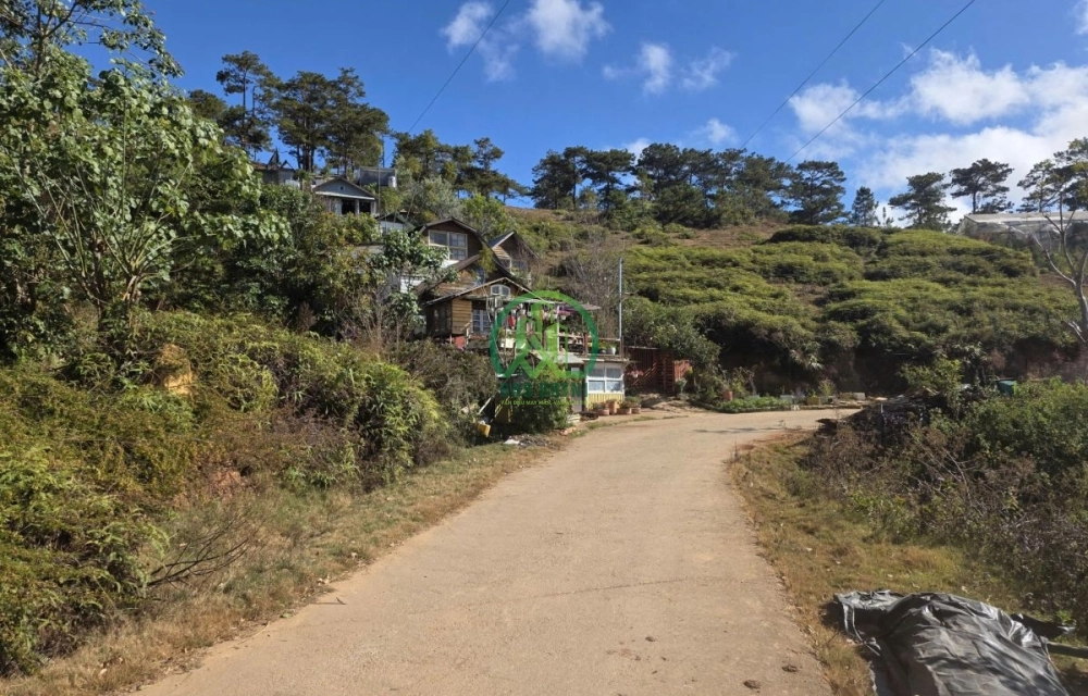 🏡 CẦN BÁN ĐẤT 2 MẶT TIỀN KQH MĂNG LIN, P. LANGBIANG - ĐÀ LẠT