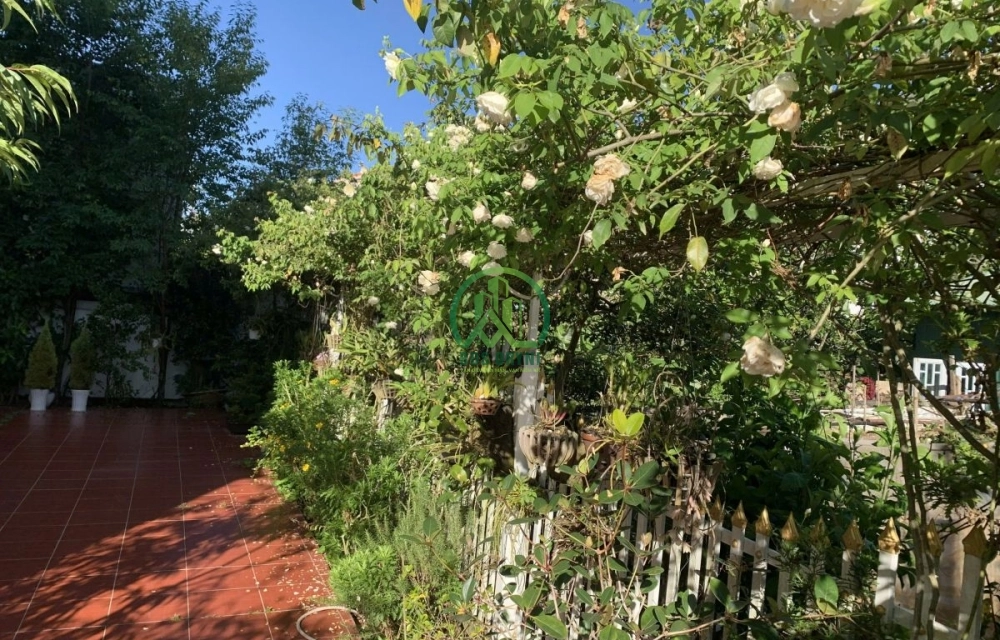 🏡 CẦN BÁN BIỆT THỰ ĐƯỜNG HẺM PHAN CHU TRINH, P. LÂM VIÊN - ĐÀ LẠT