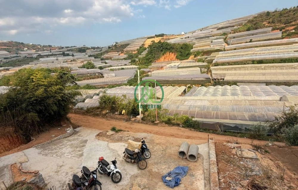 CẦN BÁN 1.010,6 M2 XUÂN THỌ, P. XUÂN TRƯỜNG - ĐÀ LẠT