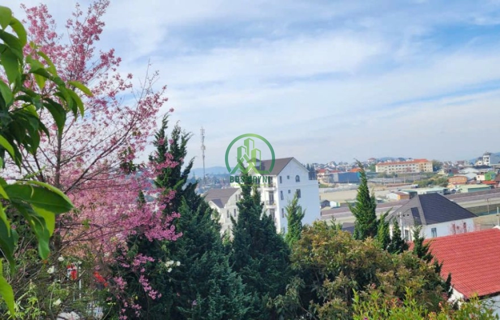 CẦN BÁN BIỆT THỰ MẶT TIỀN ĐƯỜNG TÔ HIỆU, P. LANGBIANG - ĐÀ LẠT