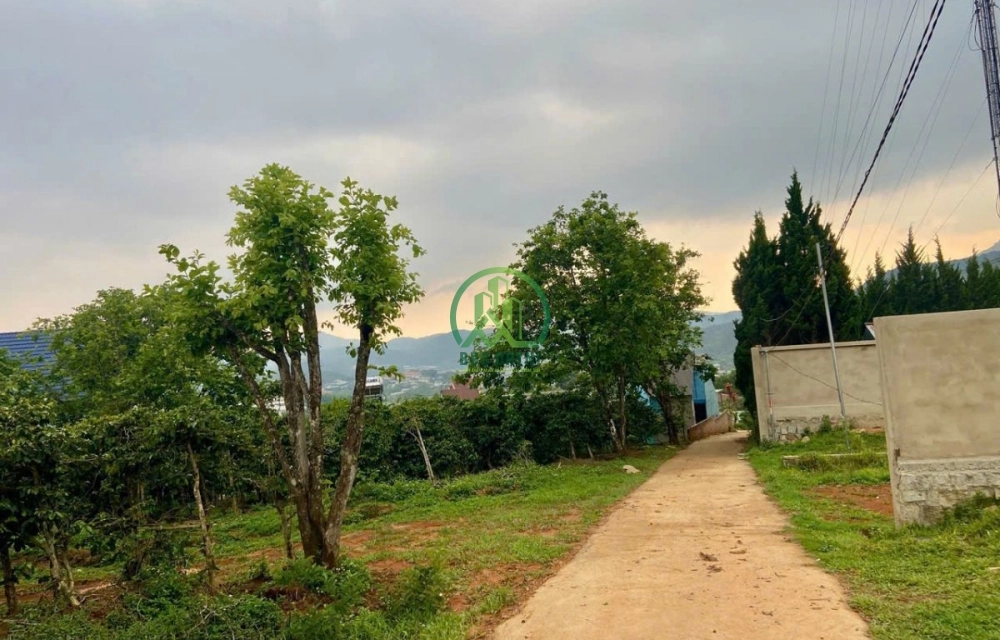 CẦN BÁN ĐẤT THÔN 1 - ĐASAR - LẠC DƯƠNG
