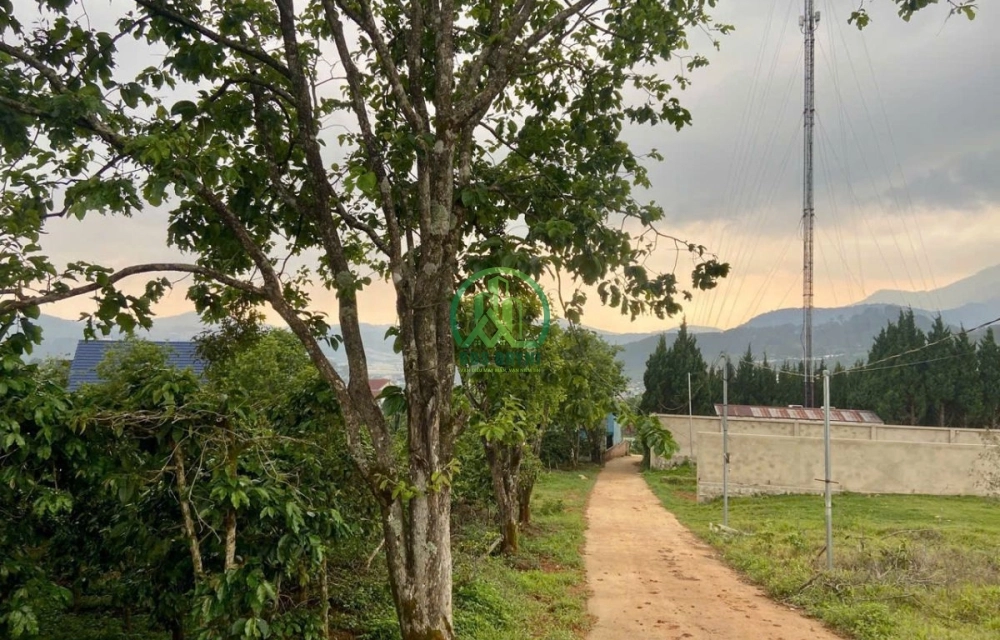 CẦN BÁN ĐẤT THÔN 1 - ĐASAR - LẠC DƯƠNG
