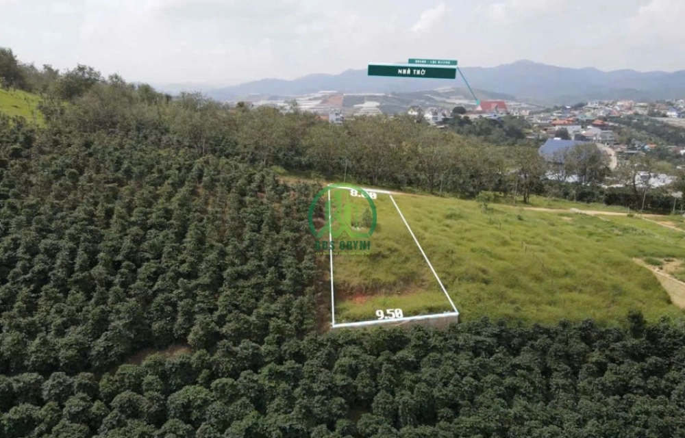 CẦN BÁN ĐẤT THÔN 1 - ĐASAR - LẠC DƯƠNG