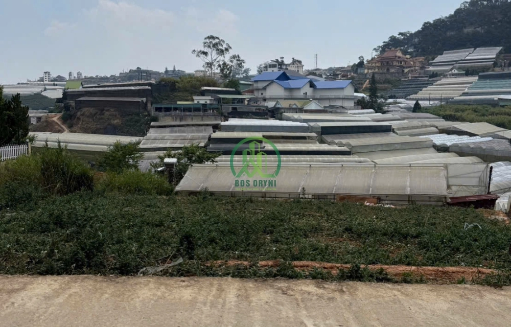 🌤 CẦN BÁN 568 M2 ĐẤT 2 MẶT ĐƯỜNG TRỊNH HOÀI ĐỨC, P. XUÂN TRƯỜNG - ĐÀ LẠT