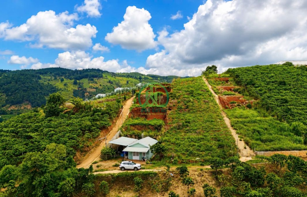 CẦN BÁN ĐẤT LÔ GÓC 2 MẶT TIỀN ĐẦU TÀ NUNG – P. CAM LY – ĐÀ LẠT 