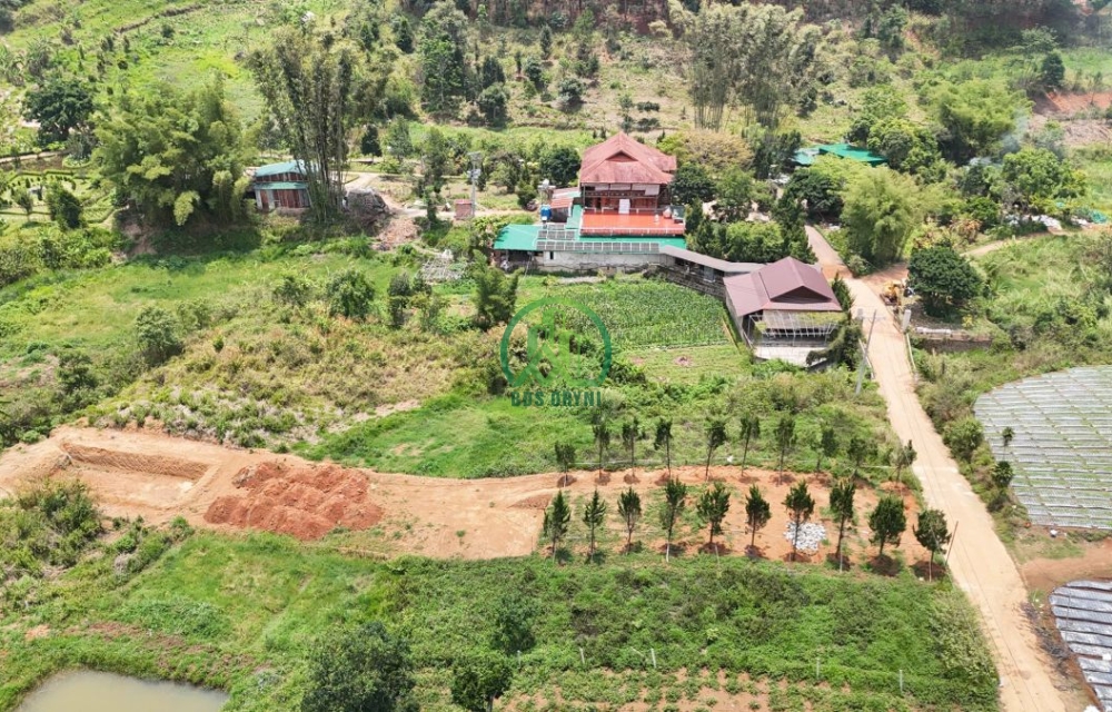 🌤 CẦN BÁN 1000 M2 ĐẤT NÔNG NGHIỆP TẠI TÀ NUNG - P. CAM LY - ĐÀ LẠT