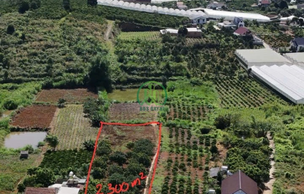 CẦN BÁN 2.078 M2 ĐẤT NAM BAN - LÂM HÀ