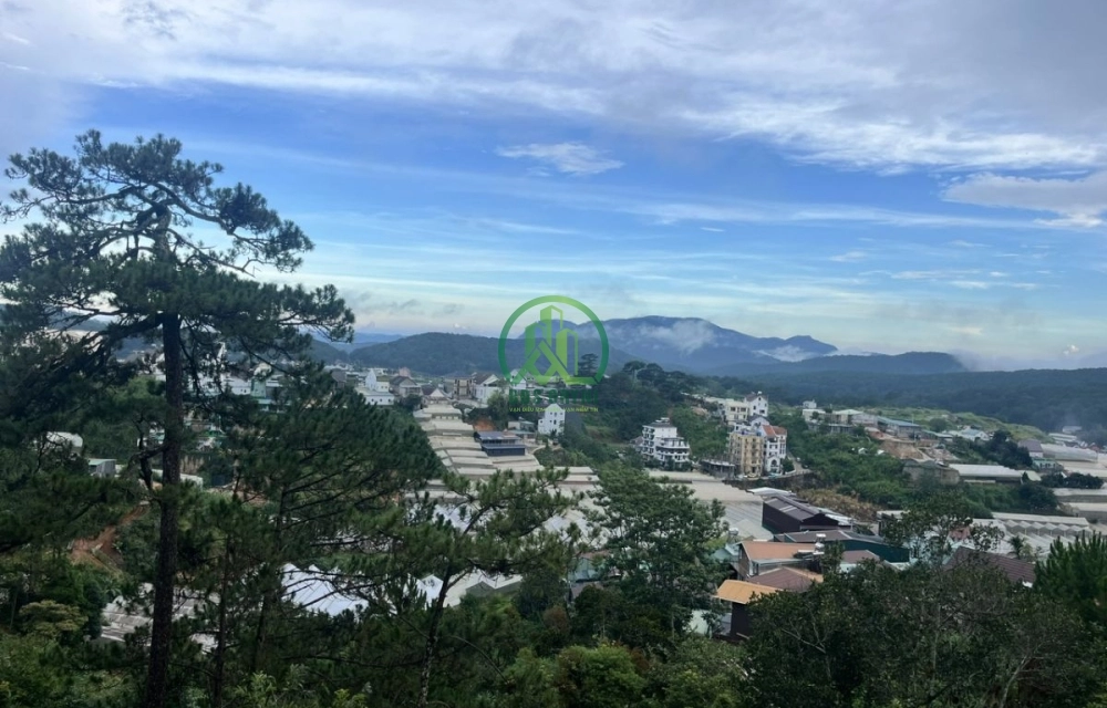 CẦN BÁN NHÀ ĐƯỜNG NGÔ THÌ SỸ PHƯỜNG XUÂN HƯƠNG- ĐÀ LẠT (P4) 