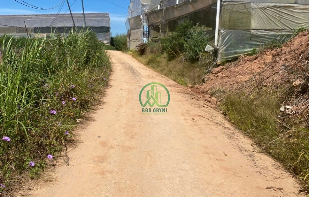 CẦN BÁN ĐẤT GẦN 4000 M2 PHƯỜNG LANGBIANG - ĐÀ LẠT (P7)