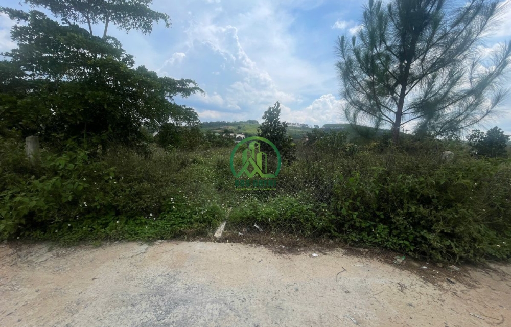 CẦN BÁN ĐẤT THỊ TRẤN NAM BAN (MÊ LINH)