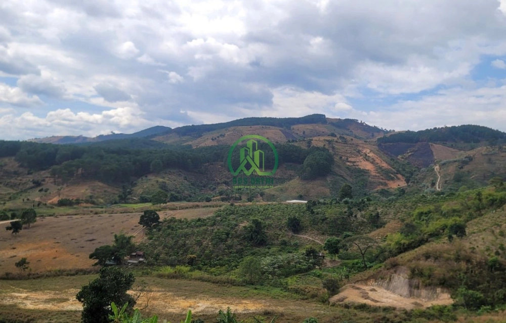 CẦN BÁN 6.525 M2 ĐẤT TÀ NUNG, P. CAM LY - ĐÀ LẠT