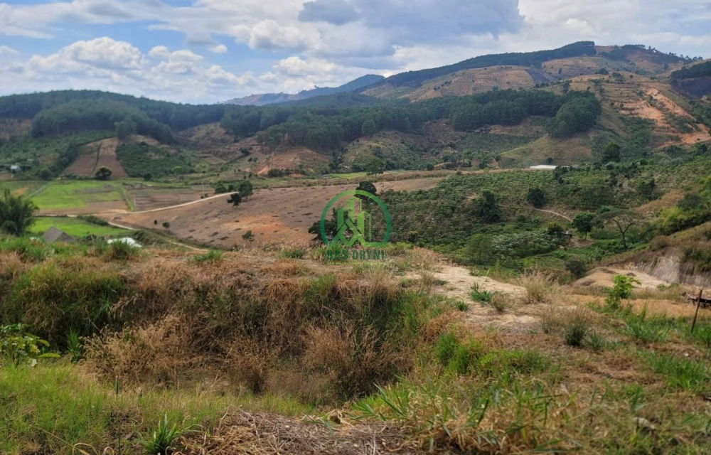 CẦN BÁN 6.525 M2 ĐẤT TÀ NUNG, P. CAM LY - ĐÀ LẠT