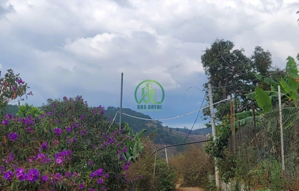 CẦN BÁN 6.525 M2 ĐẤT TÀ NUNG, P. CAM LY - ĐÀ LẠT