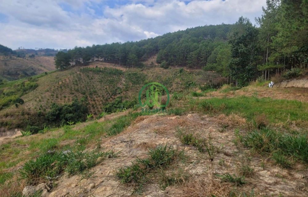 CẦN BÁN 6.525 M2 ĐẤT TÀ NUNG, P. CAM LY - ĐÀ LẠT