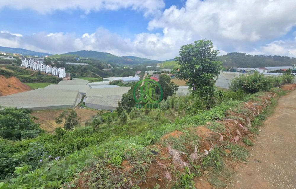 HẠ GIÁ CẦN BÁN ĐẤT VIEW ĐẸP MĂNG LIN – ĐÀ LẠT 