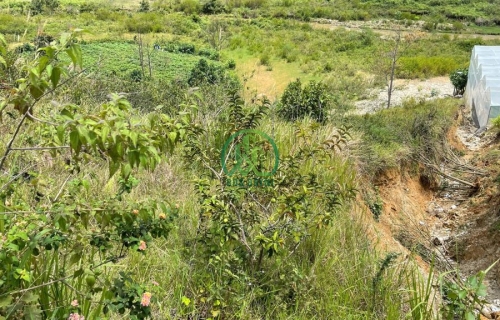 🌟 CẦN BÁN LÔ ĐẤT TẠI ĐẠSAR - LẠC DƯƠNG