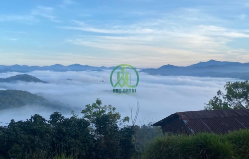 🌟 CẦN BÁN LÔ ĐẤT TRẠM HÀNH - PHƯỜNG XUÂN TRƯỜNG -ĐÀ LẠT 🌟