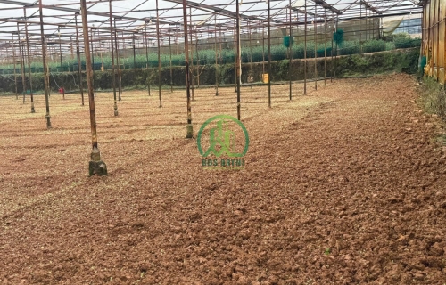 🌤 CẦN BÁN 4 SÀO ĐẤT NGAY HÒ THAN THỞ TẠI PHƯỜNG XUÂN TRƯỜNG - ĐÀ LẠT (P11 cũ)