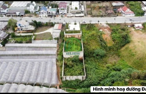 💥 CẦN BÁN 04 LÔ ĐẤT XÂY DỰNG TẠI ĐANKIA - PHƯỜNG LANGBIANG - ĐÀ LẠT (P7 cũ)