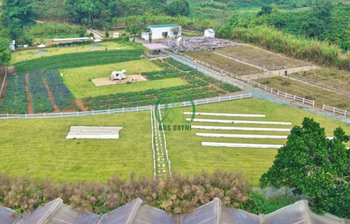 🌟 CẦN BÁN LÔ ĐẤT THOÁNG ĐẸP TẠI TÀ NUNG - PHƯỜNG CAM LY - ĐÀ LẠT