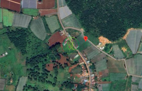 💥 CẦN BÁN ĐẤT TẠI QUẢNG LẬP, ĐƠN DƯƠNG - LÂM ĐỒNG