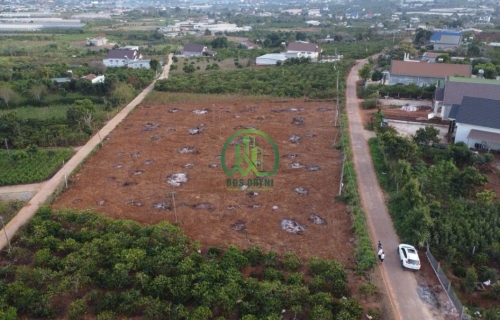 🌟 MỞ BÁN 4 LÔ SIÊU ĐẸP 2 MẶT TIỀN ĐƯỜNG NAM BAN 🌟