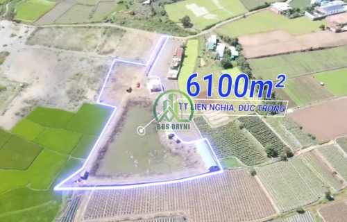 CẦN BÁN 6.100 M2 ĐẤT XÃ ĐỨC TRỌNG - LÂM ĐỒNG (LIÊN NGHĨA)
