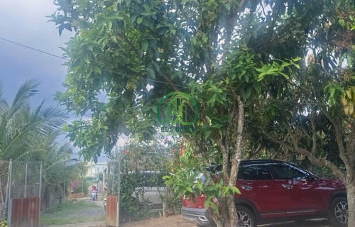CẦN BÁN ĐẤT NINH GIA CÓ SẴN CÂY ĂN TRÁI TẠI ĐỨC TRỌNG - LÂM ĐỒNG