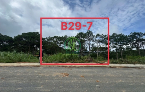 CẦN BÁN LÔ ĐẤT B29-7 KQH DÂN CƯ SỐ 5 - ĐƯỜNG AN SƠN - P. XUÂN HƯƠNG - ĐÀ LẠT (P4)