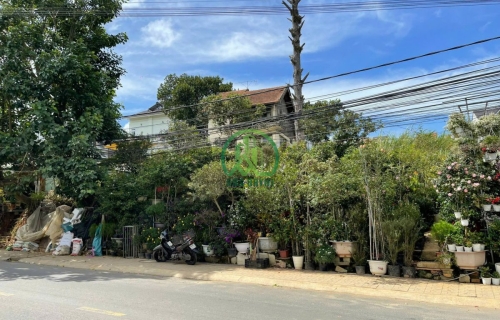 CẦN BÁN 2 LÔ ĐẤT BIỆT THỰ LIỀN KỀ MẶT TIỀN ĐƯỜNG MÊ LINH, P. LÂM VIÊN - ĐÀ LẠT (P9)